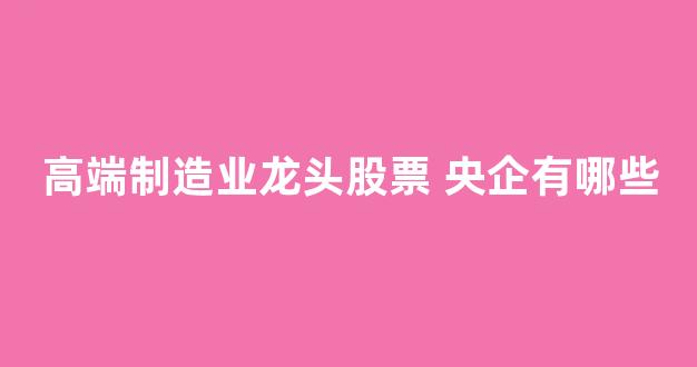 高端制造业龙头股票 央企有哪些(高端制造业龙头公司)_https://www.dcjwmf.com_中金所_第1张